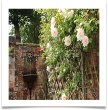 Lymm Open Gardens 3 - Helen Kulczcki